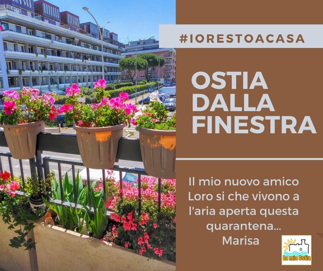 Ostia dalla finestra: mese di aprile